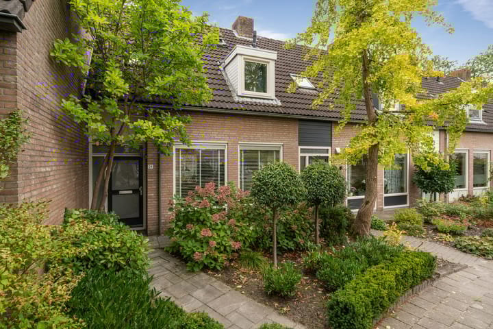 Merel 24 dans Etten-Leur photo