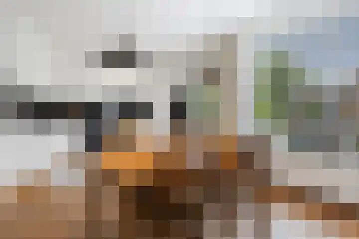 Merel 24 Etten-Leur thumbnail 13