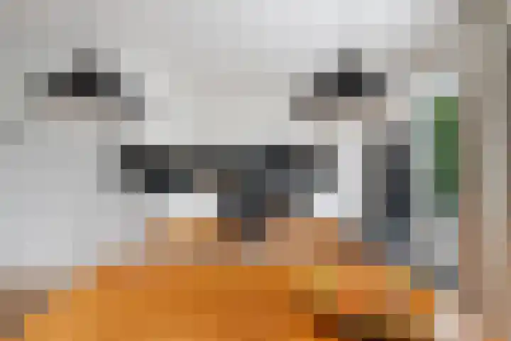 Merel 24 Etten-Leur thumbnail 14
