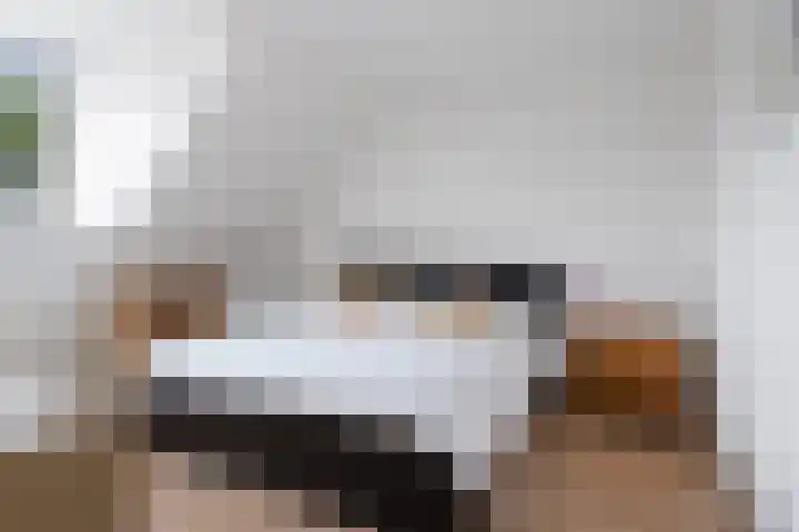 Merel 24 Etten-Leur thumbnail 23