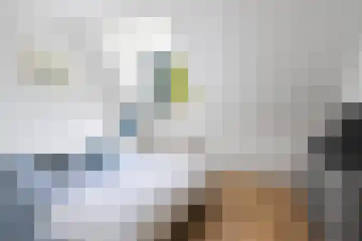 Merel 24 Etten-Leur thumbnail 29