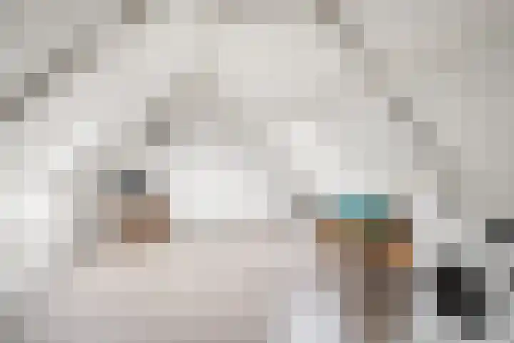 Merel 24 Etten-Leur thumbnail 38