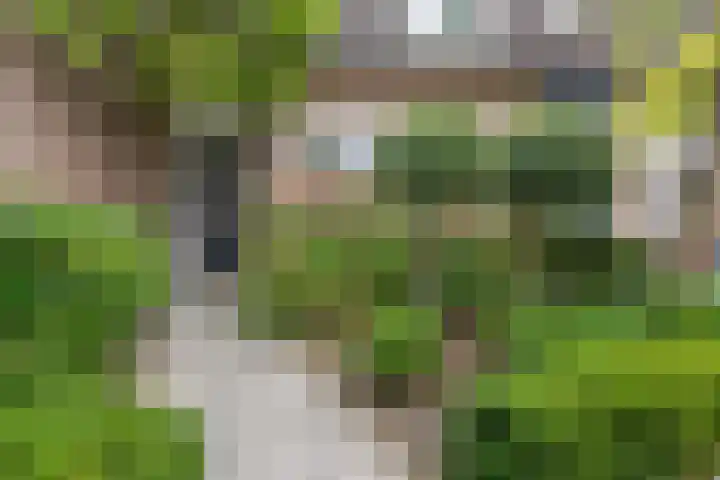 Merel 24 Etten-Leur thumbnail 4
