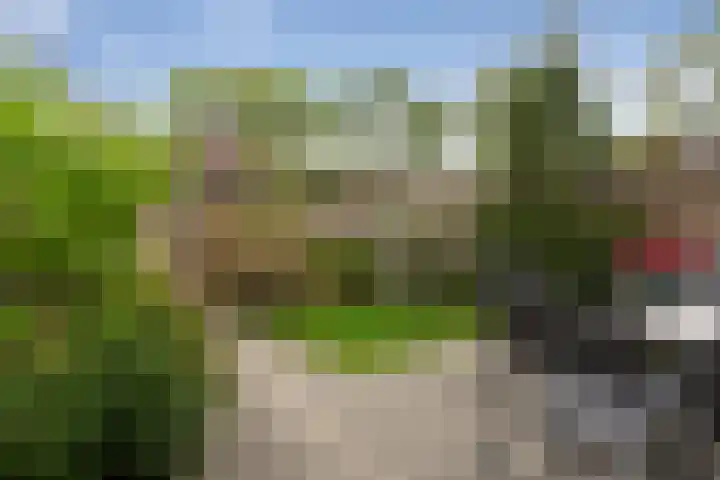 Merel 24 Etten-Leur thumbnail 42