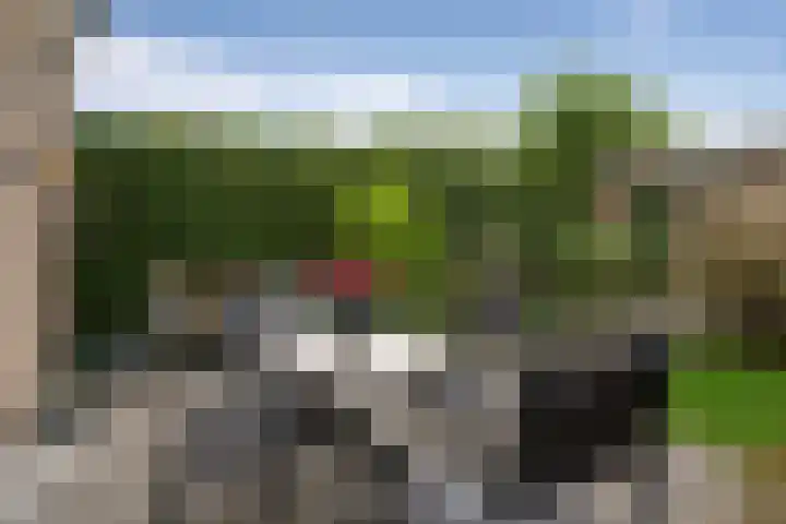 Merel 24 Etten-Leur thumbnail 44