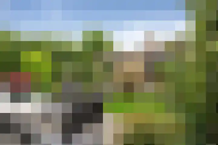 Merel 24 Etten-Leur thumbnail 45