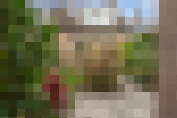 Merel 24 Etten-Leur thumbnail 47