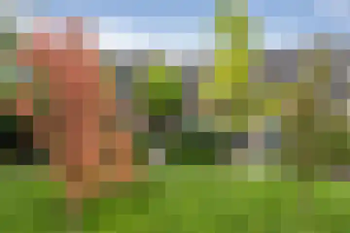 Merel 24 Etten-Leur thumbnail 49