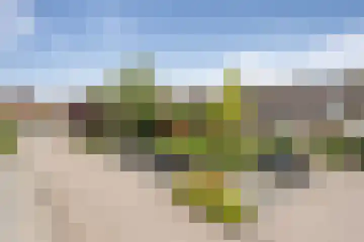 Merel 24 Etten-Leur thumbnail 51
