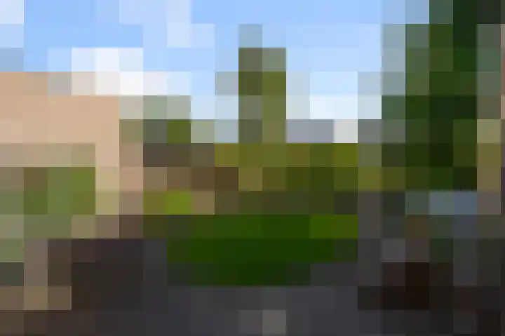 Merel 35 Heemskerk thumbnail 10