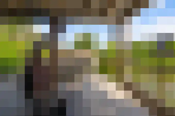 Merel 35 Heemskerk thumbnail 13
