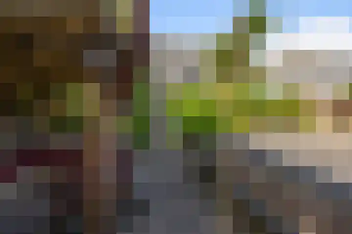 Merel 35 Heemskerk thumbnail 14