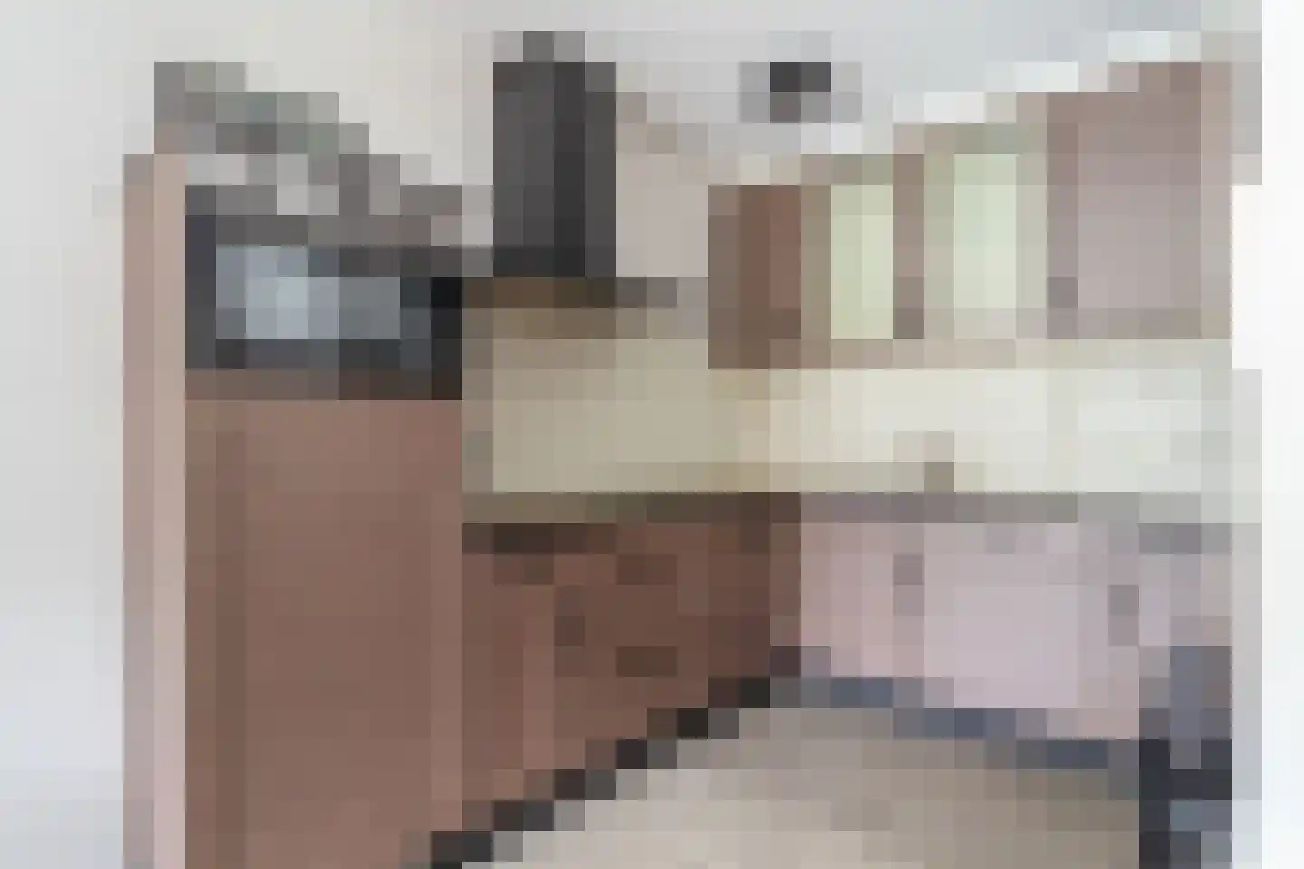 Merel 51 Bunschoten-Spakenburg thumbnail 6