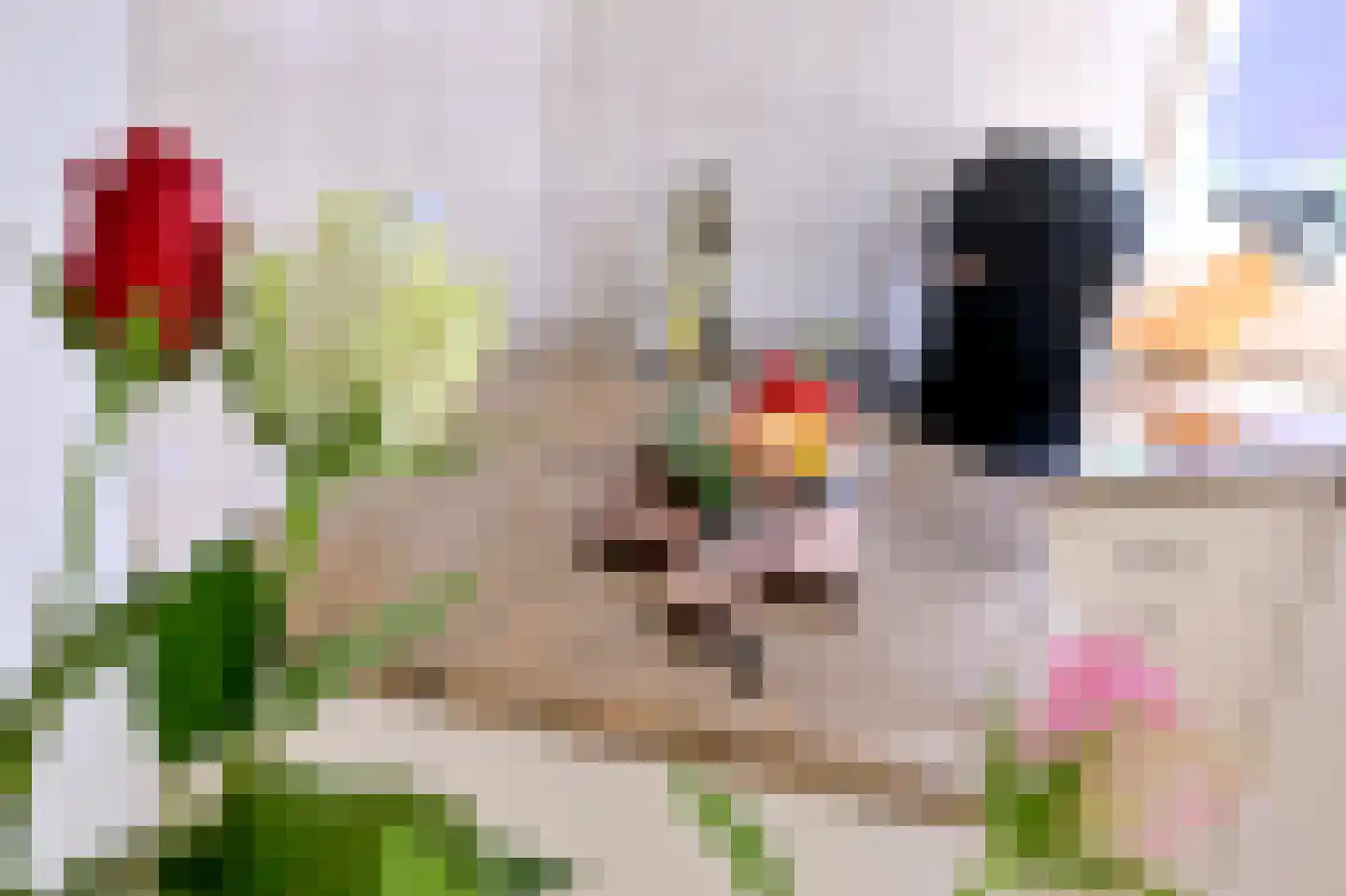 Merel 6 Deventer thumbnail 10