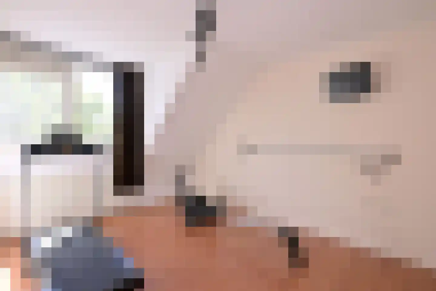 Merel 6 Deventer thumbnail 20
