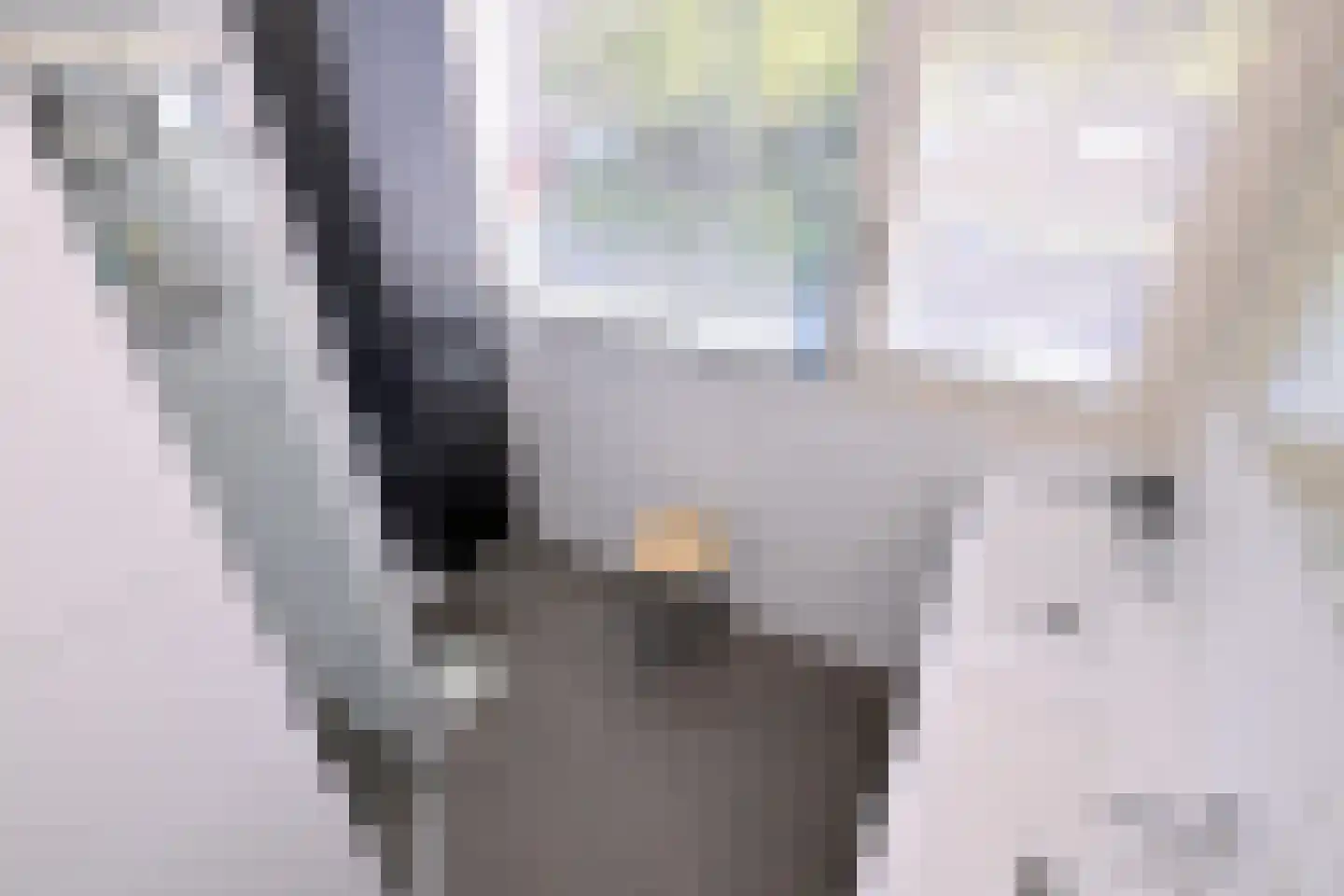 Merel 6 Deventer thumbnail 22