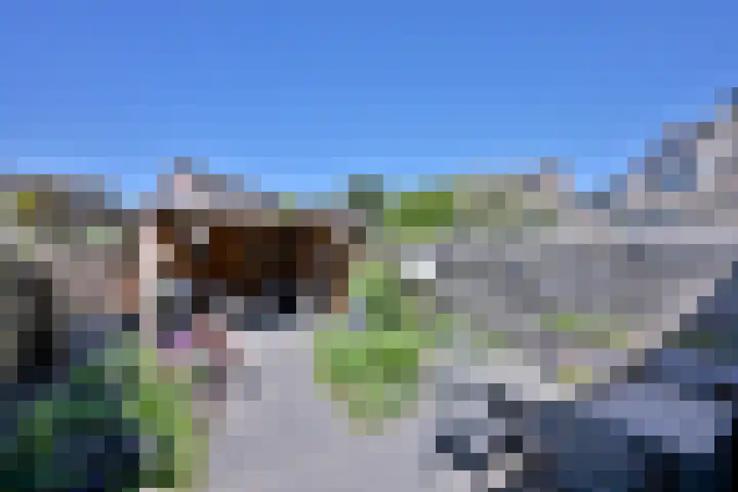 Merel 6 Deventer thumbnail 30