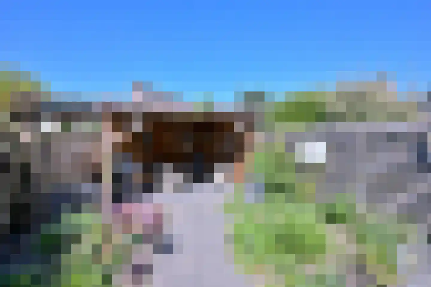 Merel 6 Deventer thumbnail 31