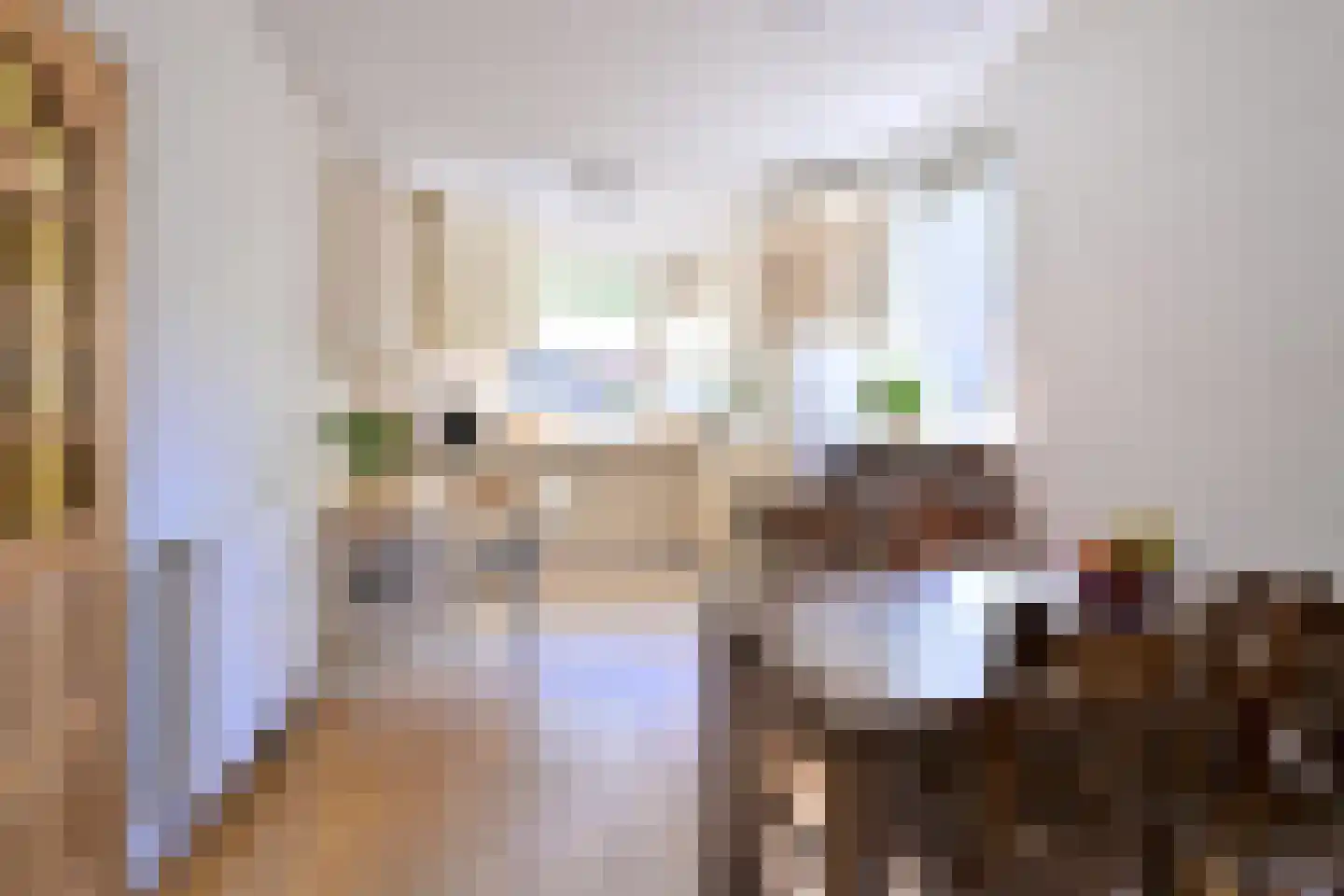 Merel 6 Deventer thumbnail 8