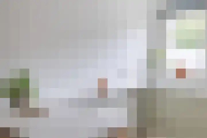 Merel 63 Heemskerk thumbnail 20