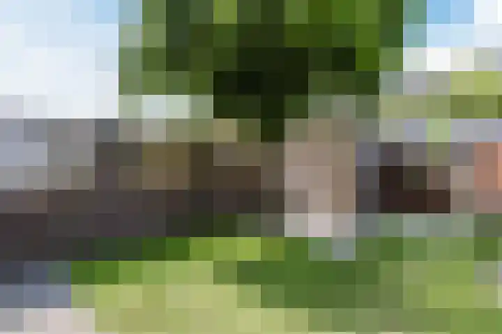 Merel 63 Heemskerk thumbnail 38