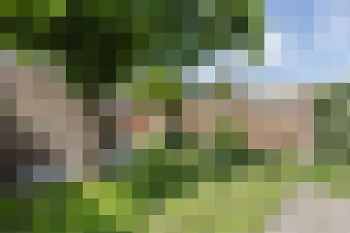 Merel 63 Heemskerk thumbnail 39