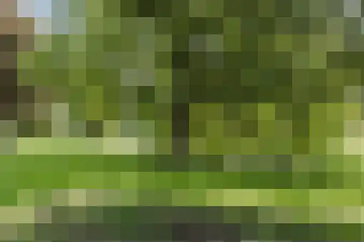 Merel 63 Heemskerk thumbnail 42