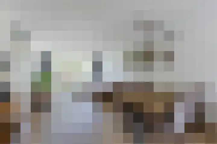Merel 63 Heemskerk thumbnail 8