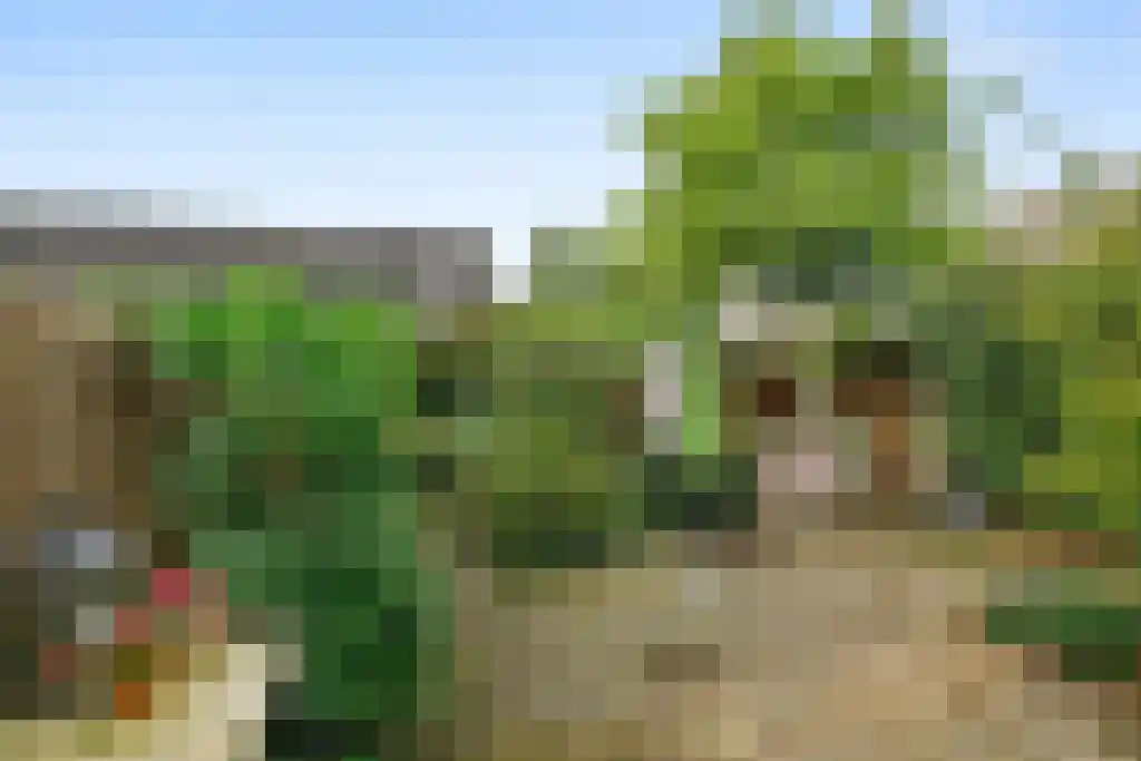 Merel 70 Heemskerk thumbnail 30