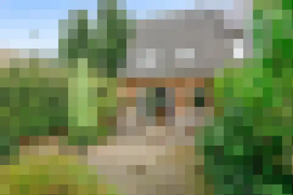 Merel 70 Heemskerk thumbnail 31