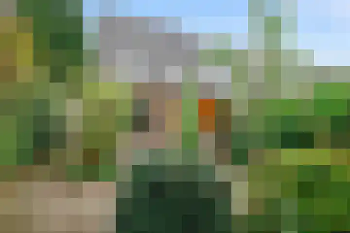 Merel 70 Heemskerk thumbnail 32