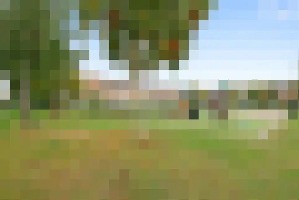 Merel 70 Heemskerk thumbnail 33