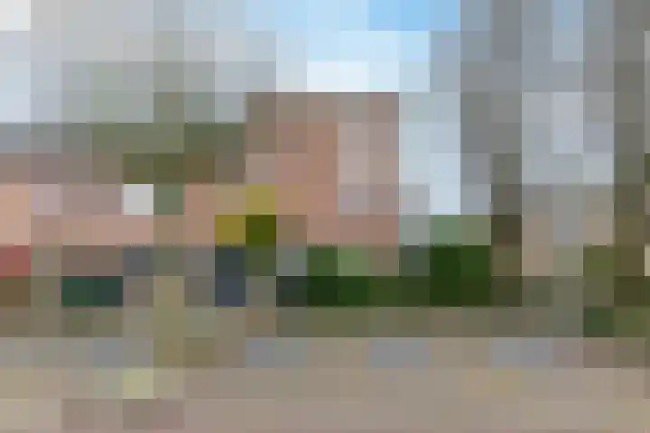Merel 70 Heemskerk thumbnail 35