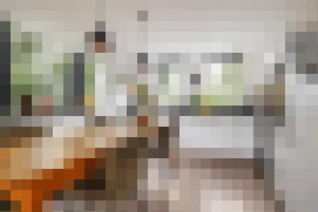 Merel 70 Heemskerk thumbnail 6