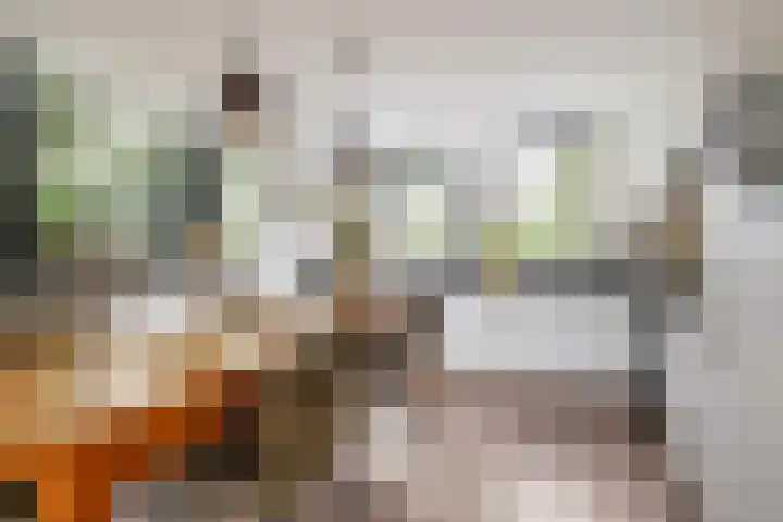 Merel 70 Heemskerk thumbnail 6
