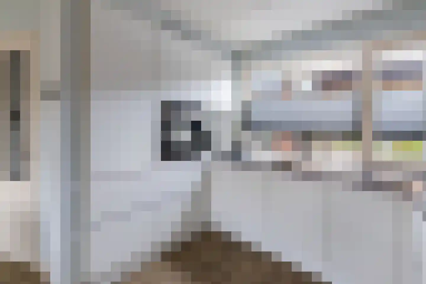Merel 86 Raalte thumbnail 11