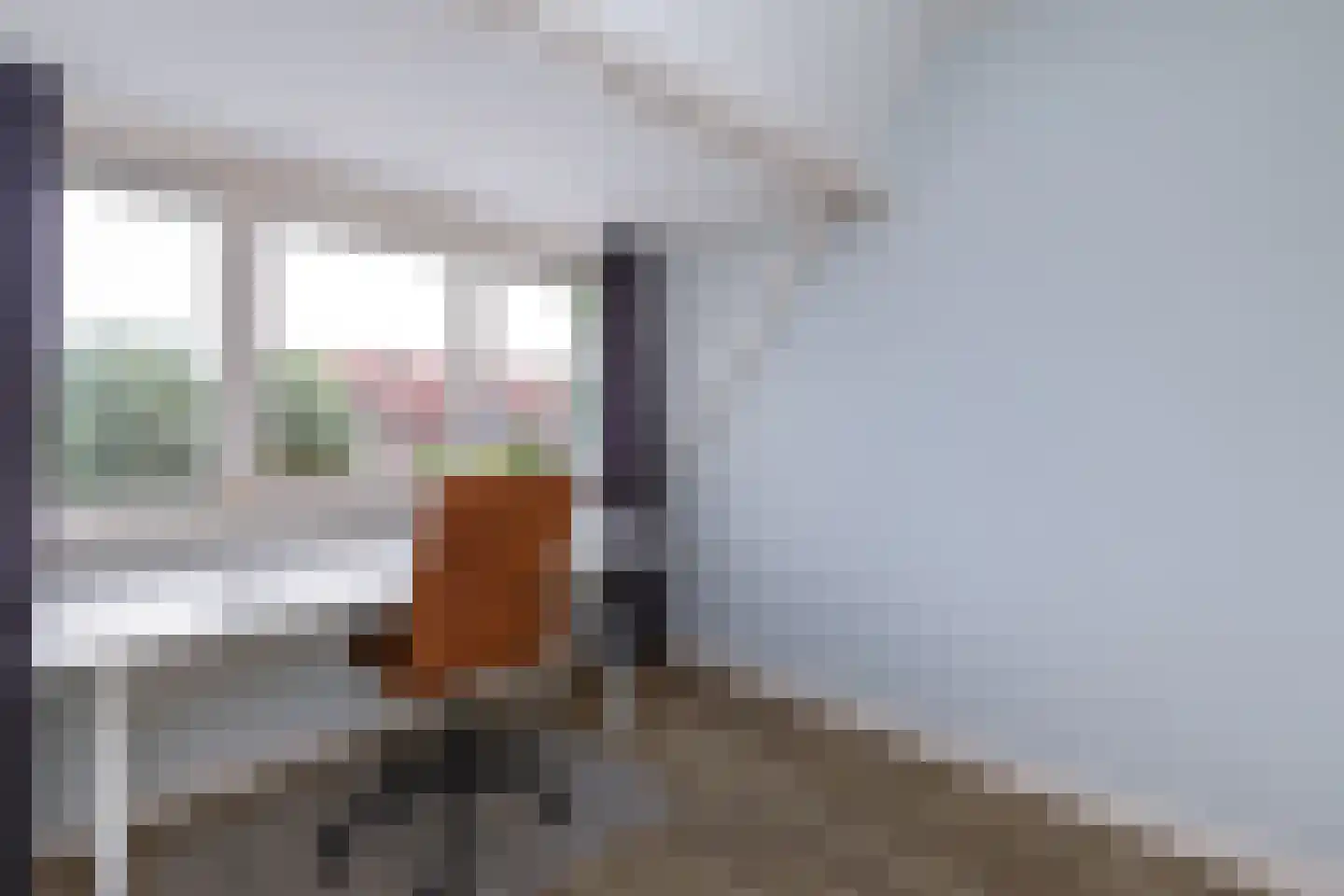 Merel 86 Raalte thumbnail 17