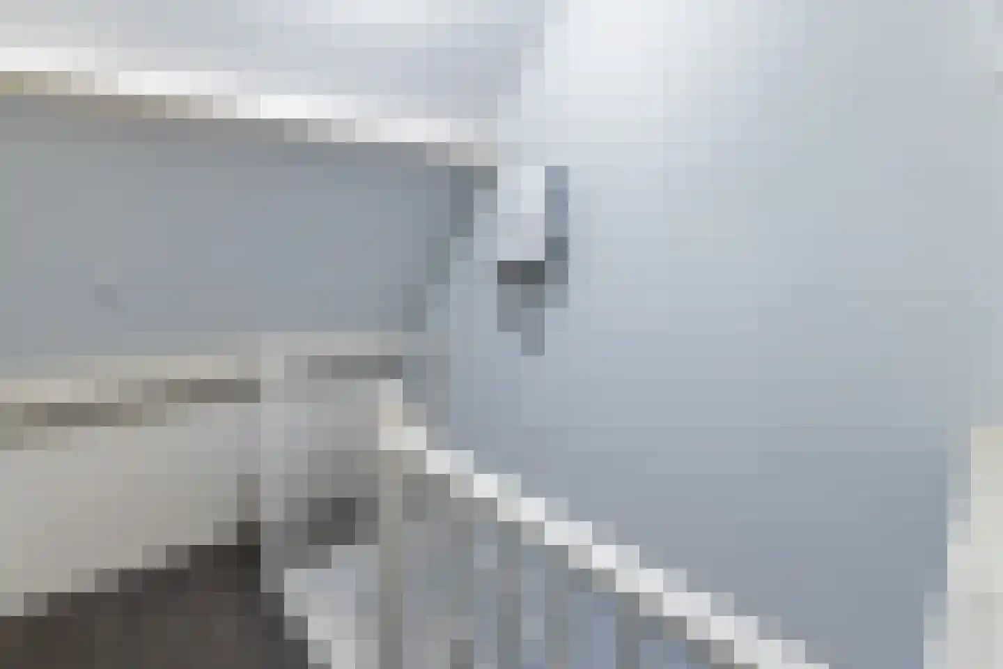 Merel 86 Raalte thumbnail 20