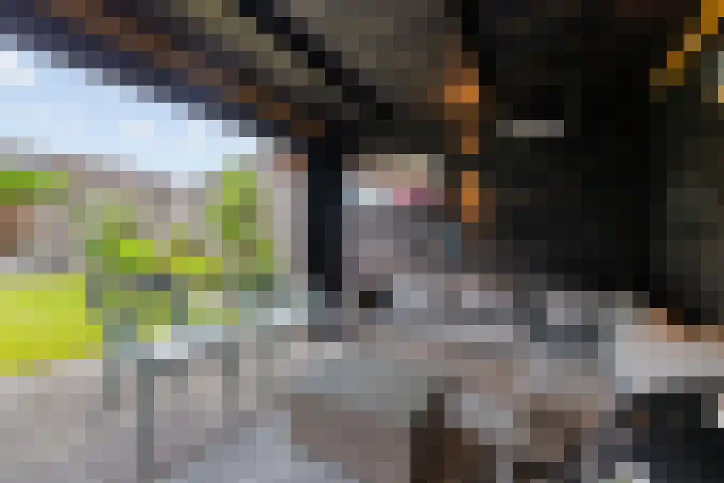 Merel 86 Raalte thumbnail 29