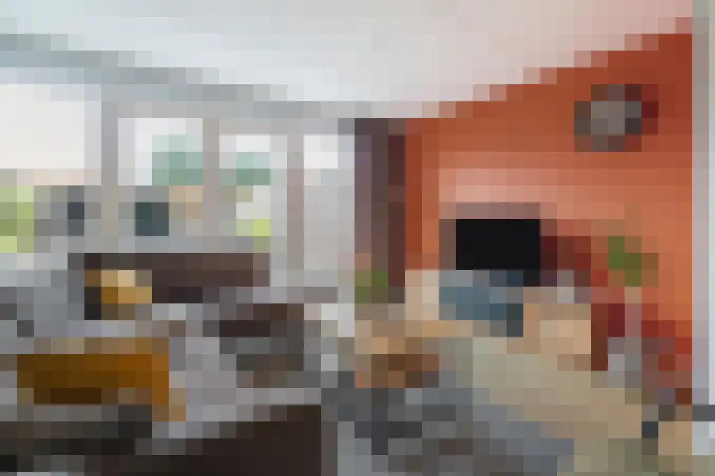 Merel 86 Raalte thumbnail 4