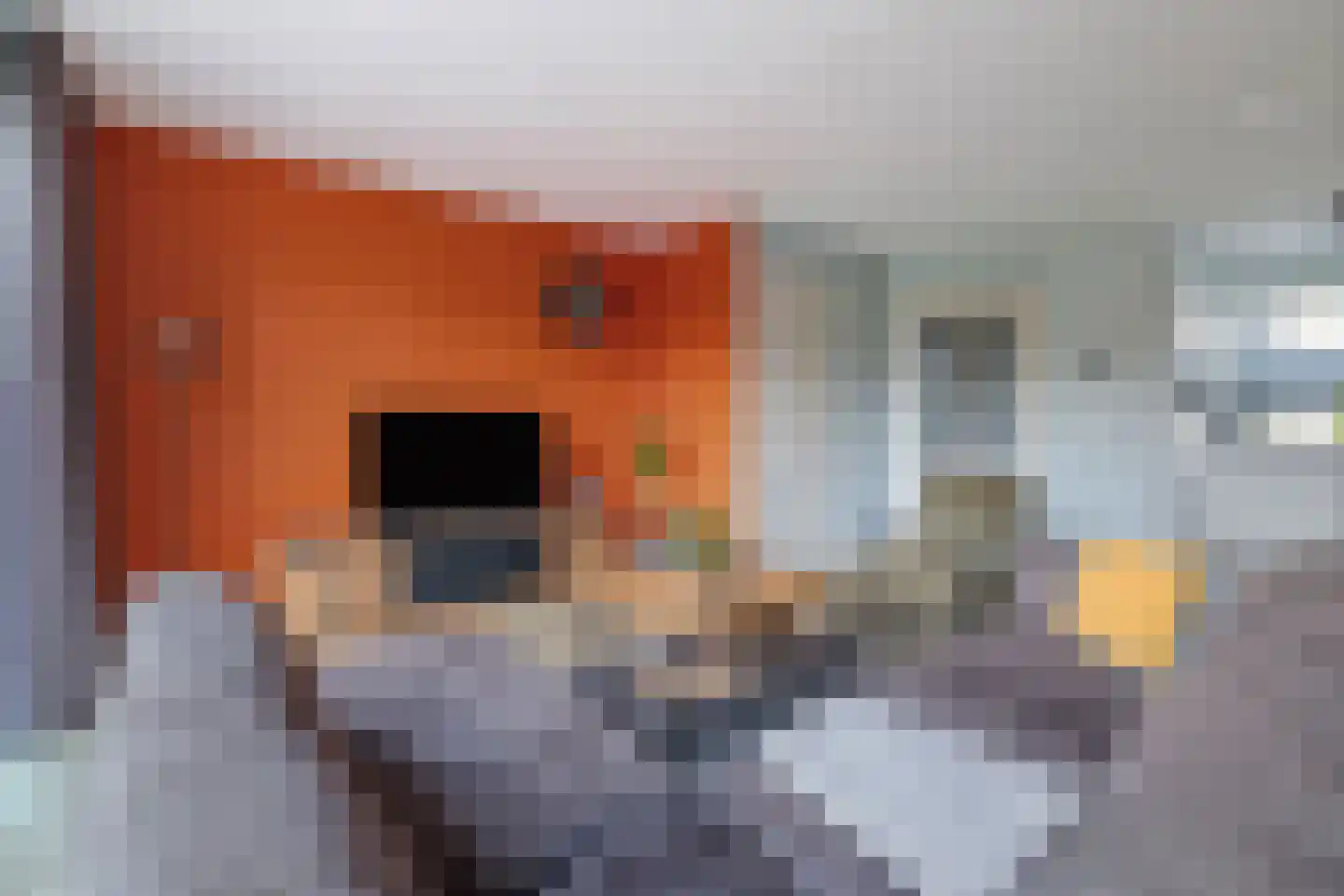 Merel 86 Raalte thumbnail 5