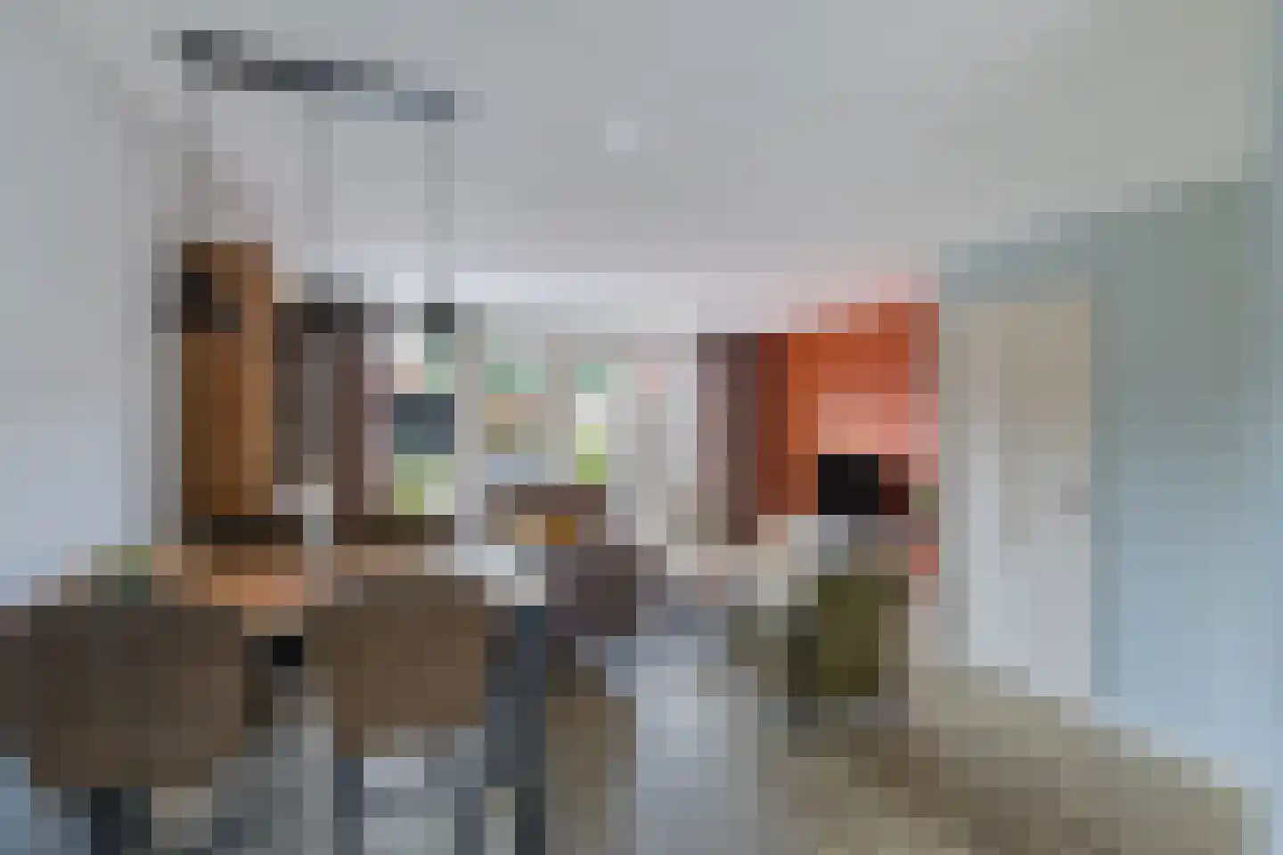 Merel 86 Raalte thumbnail 8