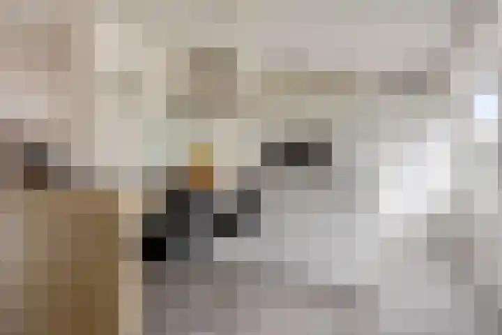 Merelberg 17 Roosendaal thumbnail 11