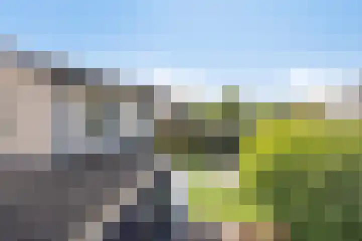 Merelberg 17 Roosendaal thumbnail 31