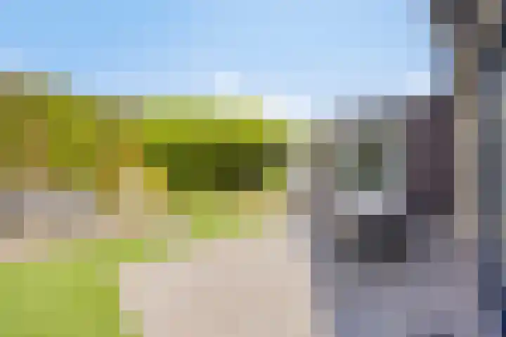 Merelberg 17 Roosendaal thumbnail 32