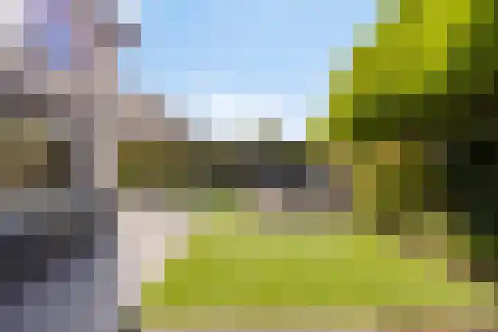 Merelberg 17 Roosendaal thumbnail 33