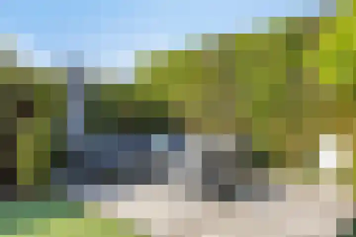 Merelberg 17 Roosendaal thumbnail 38