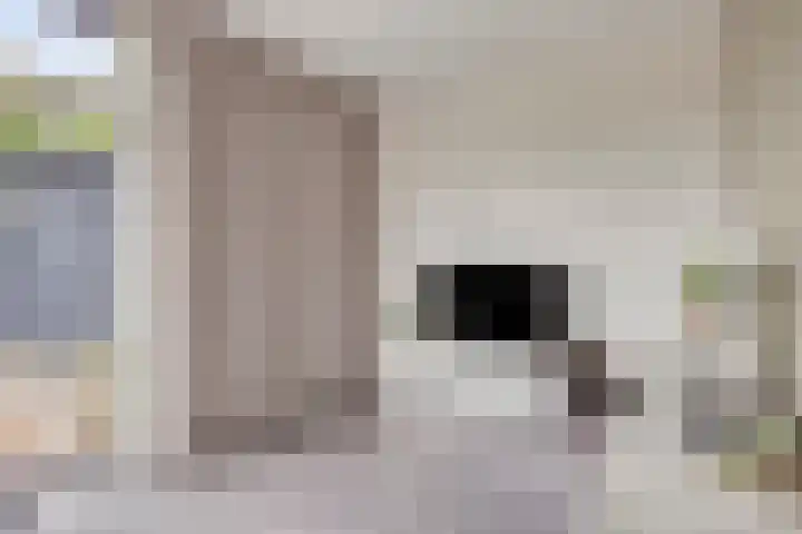 Merelberg 17 Roosendaal thumbnail 9