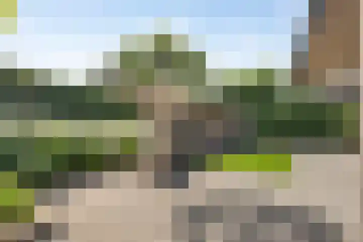 Merelberg 18 Roosendaal thumbnail 7
