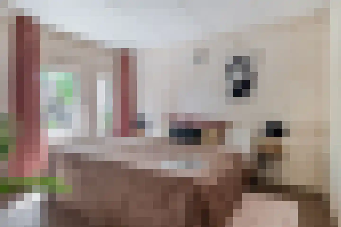 Mereldonk 1 Veghel thumbnail 15